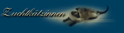 Zuchtkaetzinnen