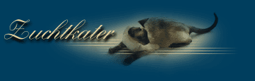 Zuchtkater